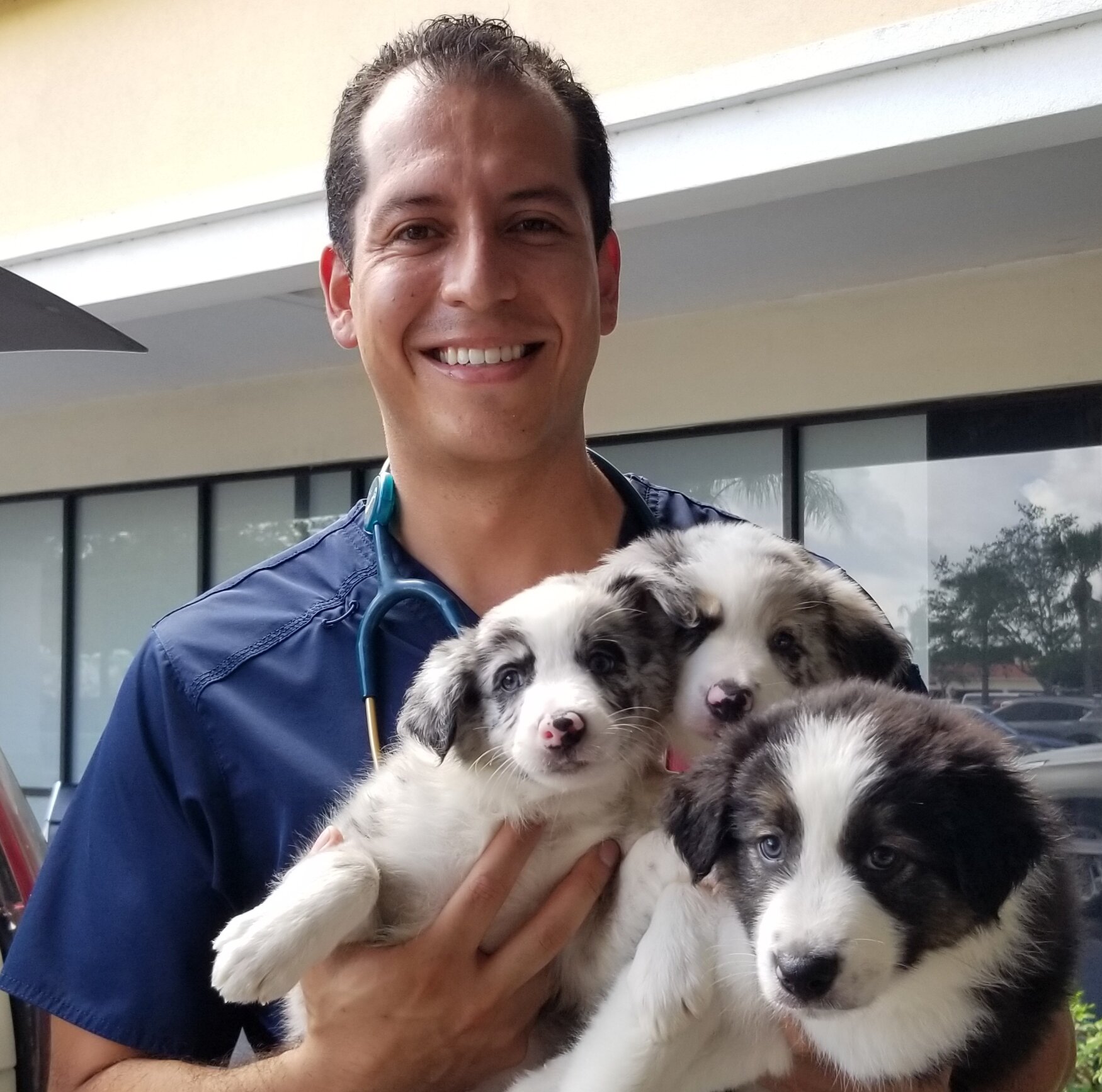 Meet our team | Veterinarian in Royal Palm Beach, Florida | Justin Bartlett Animal  Hospital